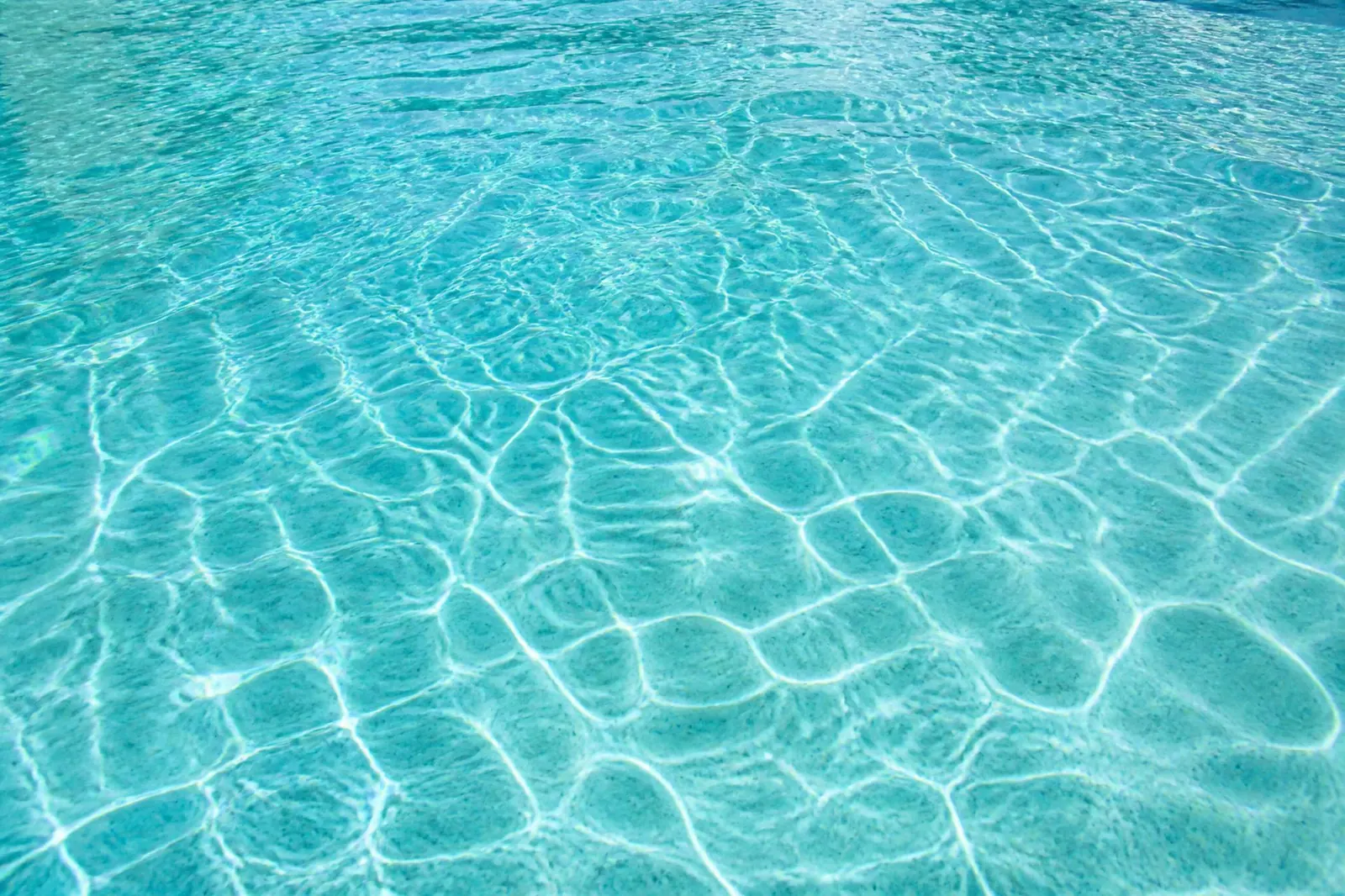 Clear, balanced pool water after a weekly Savvy Swim service visit in Dallas–Fort Worth