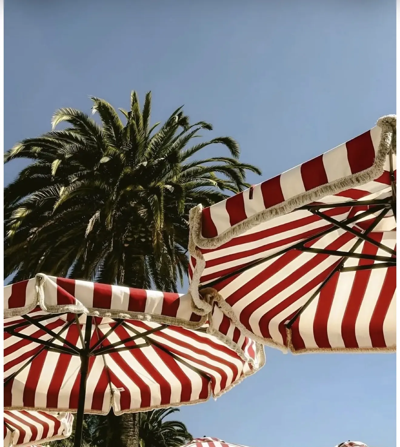 Red and white striped umbrellas lined up beside a pool